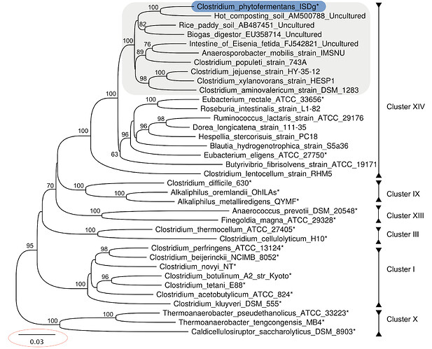 dendogram_example_with_scale