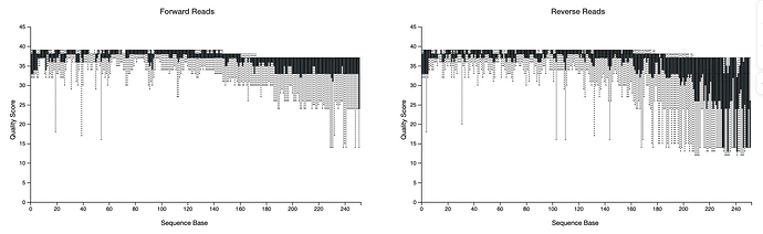 Screenshot 2025-11-06 at 17.42.56