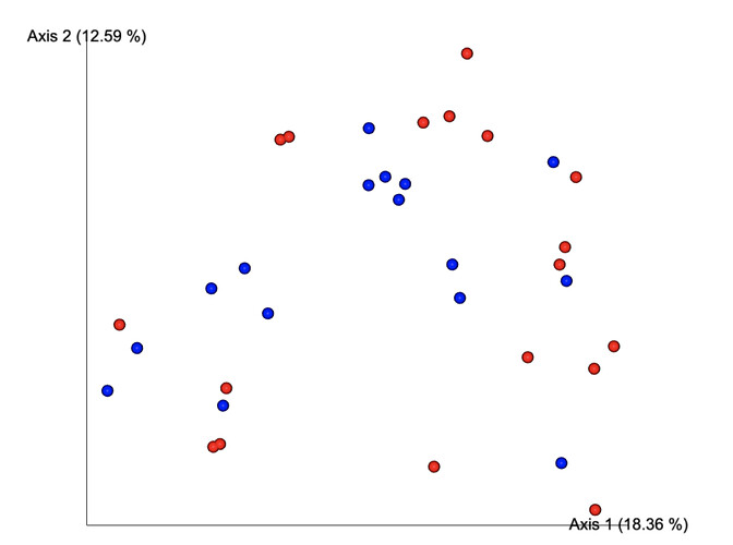 Screen Shot 2021-01-14 at 10.22.22 PM