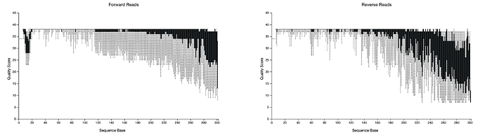 Screen Shot 2021-03-05 at 12.46.46 PM