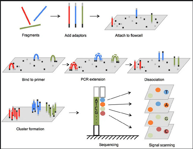 Screen Shot 2026-04-13 at 7.37.35 AM