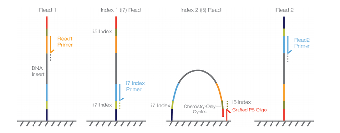 Screen Shot 2026-04-12 at 10.55.02 AM
