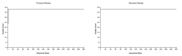 WhatsApp Image 2026-02-02 at 20.49.32